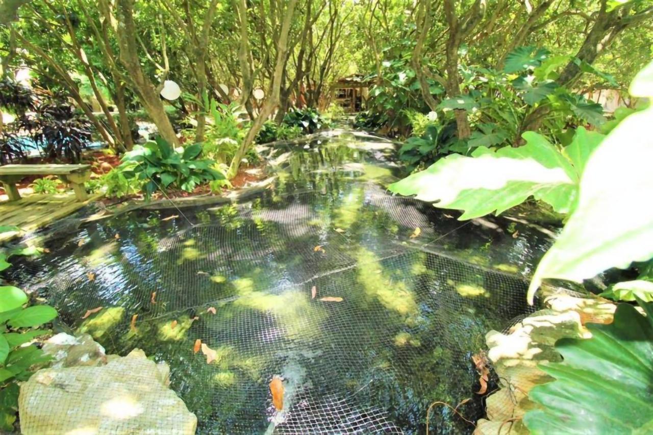 Luxurious Tiny House & Koi Garden Experience Βίλα Homestead Εξωτερικό φωτογραφία